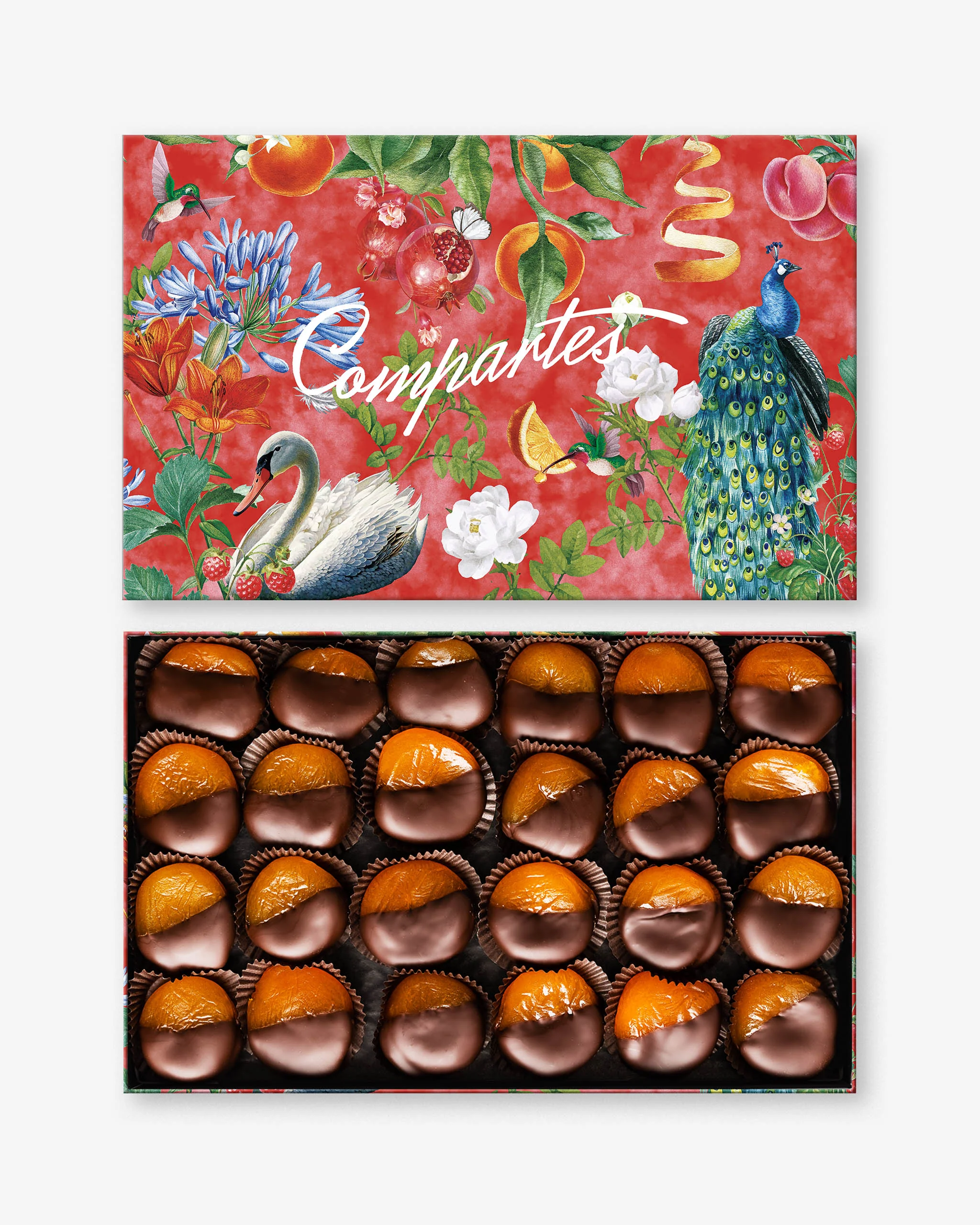 Holiday Dark Chocolate Apricots - Large Gift Box - Image 3